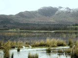 Winter floods on the Crom Mhin marsh