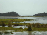 Winter floods at the mouth of the River Endrick