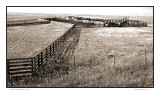 Cattle pen, Bazaar, KS