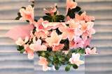 9. may, monday