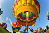 The Great Reno Balloon Race 2012