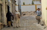 IMG_6376 Where do donkey owners pee? Quequeña, Peru,May 17