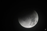 IMG_6006 Lunar Eclipse at 6:03 am - just before the clouds. Dec 10