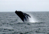DSC03609.JPG
