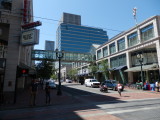 P8190554.jpg