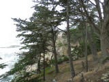 P9220007.JPG