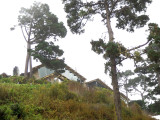 P9220029.JPG