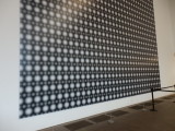 P9240020.JPG