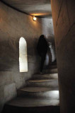 The Stairs Go Up