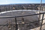 First Ones To The Top