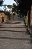 Long Climb Up The Hill
