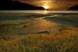 9-10-04 SunsetBeachGrass3_6968 (D60 17-40L)