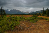 9-26-03_Alyesky Valley (17-40L D60)
