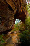 Sky Bridge , Red River Gorge, KY