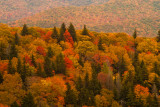 IMGP3375_edited-2.jpg