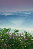 Virginia ridges.....
