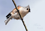 HEY, WHAT YOU DOING DOWN THERE?_2058.jpg