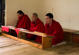 820_MR-814-studying the sacred texts-Thimpu copy-s-.jpg