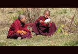 820_MS_2394 young monks eating_Gangtey copy-s-.jpg