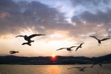 Kavala Grece