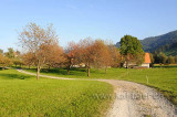 Neugrund (116838)