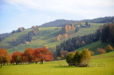Schurtannen (118067)