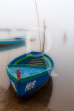 A Lagoa de Óbidos em 20 de fevereiro de 2012
