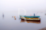 A Lagoa de Óbidos em 20 de fevereiro de 2012