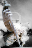 Marquês de Pombal (Detalhes)