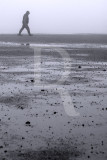 A Lagoa de Óbidos em 20 de fevereiro de 2012