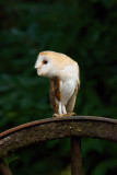 DSC01144_WS.jpg