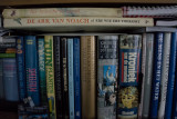 DSC01113.jpg