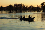2011 - Banks Lake National Wildlife Preserve, Georgia (#6067)