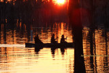 2011 - Banks Lake National Wildlife Preserve, Georgia (#6099)