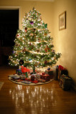Dec. 16, 2007, Nikon P5000, 7.5mm, 1/4.3 sec., f/2.7, ISO 200, incandescent WB.