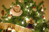 Dec. 16, 2007, Nikon P5000, 7.5mm, 1/5.8 sec., f/2.7, ISO 200, incandescent WB.