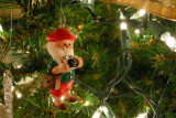 Dec. 16, 2007, Nikon P5000, 7.5mm, 1/10.1 sec., f/2.7, ISO 200, incandescent WB.