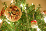 Dec. 16, 2007, Nikon P5000, 7.5mm, 1/3.3 sec., f/2.7, ISO 200, incandescent WB.