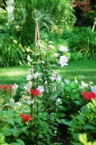 Tom's Garden, Saginaw, Michigan, USA