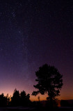 Diamonds in the Sky