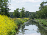 Paulinskill Wildlife Management Area