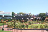 Rose Garden