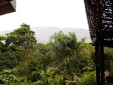 Jardin de Palmas - Jardin Botanico de Medellin.jpg