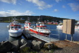 Hólmavíkurlífæð.