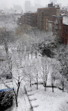 DSC_3441.JPG