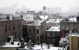 DSC_3450.JPG