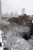 DSC_3456.JPG