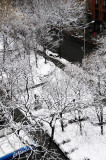 Snow Day