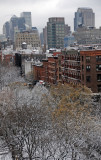 Snow Day