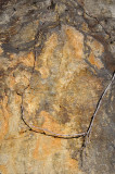 Stone Wall - Parking Lot Visitor Entrance
